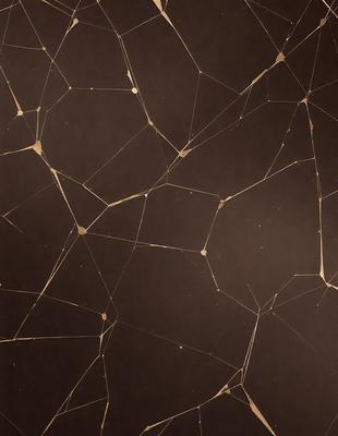 The primary subject of the image is a pattern of interconnected lines, which create a complex and intricate design. The setting is a dark background, which contrasts with the lines and adds depth to the image. The visual style is a combination of digital art and illustration, as the lines are rendered in a way that resembles a computer-generated pattern. The colors and mood of the image are predominantly dark, with the interconnected lines serving as the main focus and creating a sense of depth and complexity.