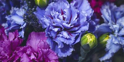 The primary subject of the image is a bouquet of purple and blue flowers. The flowers are arranged in a vase, creating a visually appealing display. The setting is a room with a table, and the visual style is a close-up of the flowers, showcasing their beauty. The colors and mood of the image are predominantly purple and blue, giving the scene a calm and serene atmosphere.