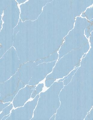 The primary subject of the image is a marble wall with a blue and white color scheme. The setting is a room with a blue and white marble wall, which serves as the background. The visual style is a close-up of the marble wall, showcasing its intricate patterns and textures. The colors and mood of the image are predominantly blue and white, creating a sense of elegance and sophistication.