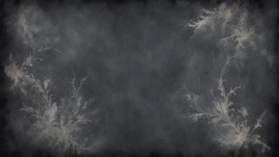 The primary subject of the image is a large, dark gray background with a few white, flowery patterns. The setting is a black and white photo, giving it a classic and timeless appearance. The visual style is a combination of artistic elements, such as the flowery patterns and the contrasting colors. The overall atmosphere is moody and dramatic, with the dark background and the contrasting white patterns creating a sense of depth and intrigue.