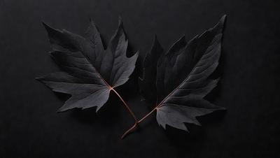 The primary subject of the image is a pair of black leaves, which are the main objects in the scene. The leaves are placed on a black background, creating a striking contrast. The visual style of the image is a close-up of the leaves, showcasing their details and texture. The dominant colors in the image are black and brown, giving the scene a moody and dramatic atmosphere.