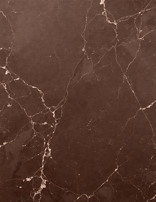 The image features a brown marble wall with a pattern of white and brown spots. The wall appears to be textured and has a unique design. The setting is indoors, possibly in a room with a brown color scheme. The visual style of the image is a close-up of the marble wall, showcasing its intricate patterns and textures. The colors and mood of the image are warm and earthy, with the brown marble and white spots creating a natural and elegant atmosphere.