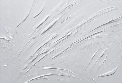 The primary subject of the image is a white wall with a pattern of swirls and curves. The setting is a room with a white background, and the visual style appears to be a combination of a photo and a drawing. The colors and mood of the image are predominantly white, giving it a clean and minimalist appearance.