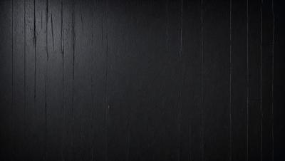 The primary subject of the image is a wooden wall. The setting is a black and white photo, which gives it a classic and timeless appearance. The visual style is a close-up of the wooden wall, emphasizing its texture and details. The colors and mood of the image are predominantly black and white, creating a sense of depth and contrast.
