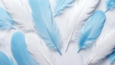 The primary subject of the image is a collection of white and blue feathers. The feathers are arranged in various positions, creating a visually appealing and artistic display. The setting is a white background, which provides a clean and uncluttered environment for the feathers to stand out. The visual style of the image is a combination of photo and digital art, as the feathers appear to be both real and carefully arranged. The colors and mood of the image are predominantly white and blue, giving it a calm and