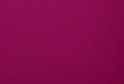 The primary subject of the image is a large, pink wall. The setting is a room with a pink background, and the visual style is a close-up of the wall. The dominant colors in the image are pink, and the overall atmosphere is warm and inviting.