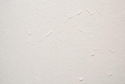The primary subject of the image is a white wall with a textured surface. The setting is a room with a plain white background. The visual style is a close-up of the wall, showcasing its texture. The colors and mood of the image are predominantly white, giving it a clean and minimalist appearance.