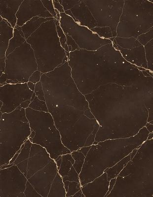 The primary subject of the image is a marble surface with a dark brown color. The setting is a room with a black background, which creates a dramatic contrast with the marble. The visual style is a close-up of the marble, showcasing its texture and details. The colors and mood of the image are dark and moody, with the marble surface serving as the focal point.