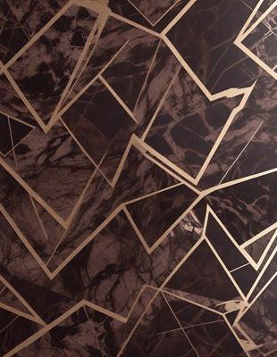The primary subject of the image is a marble patterned wall. The setting is a room with a marble patterned wall as the main focus. The visual style is a close-up of the marble pattern, showcasing the intricate design. The colors and mood of the image are predominantly dark, with the marble pattern providing a contrasting texture.