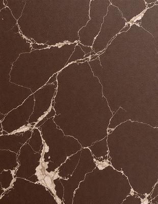 The image features a brown marble wall with a pattern of swirls and bumps. The wall appears to be made of stone, giving it a natural and textured appearance. The primary subject of the image is the marble wall, which serves as the main focus of the scene. The setting is indoors, likely in a room with a stone or marble theme. The visual style of the image is a close-up of the marble wall, showcasing its unique texture and pattern. The colors and mood of the