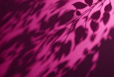 The primary subject of the image is a tree with leaves, which is the main object in the scene. The tree is located in a pink setting, possibly a wall or a background. The visual style of the image is a combination of photo and digital art, creating a unique and artistic representation of the tree. The dominant colors in the image are pink and green, giving the scene a warm and lively atmosphere.