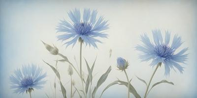 The primary subject of the image is a field of blue flowers, with three prominent blue flowers in the foreground. The setting is a white background, which creates a clean and minimalist appearance. The visual style is a painting, with the artist's brushstrokes visible in the flowers' details. The colors and mood of the image are predominantly blue, creating a serene and calming atmosphere.
