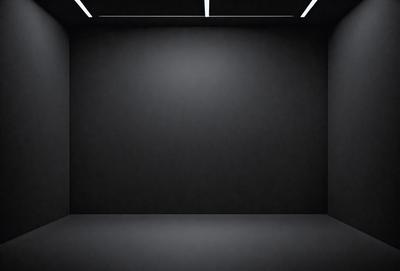 The primary subject of the image is a black room with a white wall. The setting is a dark room with a white wall, and the visual style is a black and white photo. The colors and mood of the image are predominantly dark and moody, with the black room and white wall creating a stark contrast.