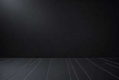 The primary subject of the image is a black and white photo of a room with a black wall. The setting is a room with a black wall, and the visual style is a black and white photo. The colors and mood of the image are predominantly black and white, creating a stark and minimalist atmosphere.