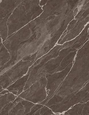 The image features a close-up of a marble surface, showcasing its intricate patterns and textures. The marble appears to be a dark brown color, giving it a rich and luxurious appearance. The close-up view highlights the details of the marble, making it the primary subject of the image. The setting is a natural environment, with the marble surface being the main focus of the scene. The visual style is a close-up, which emphasizes the marble's texture and patterns. The