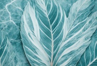 The primary subject of the image is a large, white, and blue leaf. The leaf is prominently displayed on a blue surface, which serves as the setting or background. The visual style of the image is a close-up of the leaf, showcasing its intricate details. The colors and mood of the image are predominantly blue and white, creating a serene and calming atmosphere.