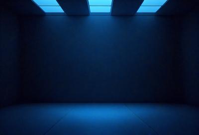 The primary subject of the image is a large, empty room with a blue-lit ceiling. The setting is a dark room with a blue-lit ceiling, creating a unique atmosphere. The visual style of the image is a photo, capturing the room's emptiness and the blue lighting. The colors and mood of the image are predominantly blue, giving it a calm and serene appearance.