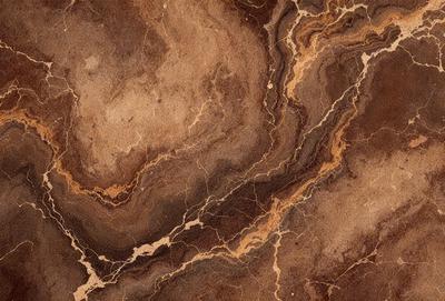 The primary subject of the image is a close-up of a marble surface, showcasing its intricate patterns and textures. The setting is a room with a brown marble floor, which adds to the overall atmosphere of the scene. The visual style of the image is a close-up, highlighting the details of the marble surface. The colors in the image are predominantly brown, which gives the scene a warm and natural feel.