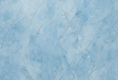The primary subject of the image is a blue and white wall with a pattern of leaves. The setting is a room with a blue and white color scheme. The visual style is a combination of a photo and digital art, creating a unique and artistic appearance. The dominant colors are blue and white, giving the wall a clean and modern look.