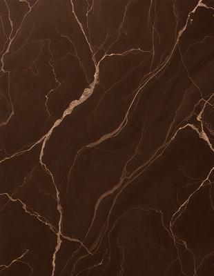 The primary subject of the image is a close-up of a marble wall with a brown and gold color scheme. The setting is a room with a brown and gold color scheme, which complements the marble wall. The visual style is a close-up of the marble wall, showcasing its texture and details. The colors and mood of the image are warm and luxurious, evoking a sense of sophistication and elegance.