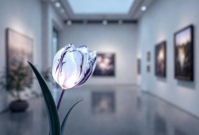 The primary subject of the image is a single purple flower, which is placed in a vase and positioned in the center of the scene. The setting is a room with a white wall, and the visual style appears to be a photo. The dominant colors in the image are purple and white, creating a calm and serene atmosphere.
