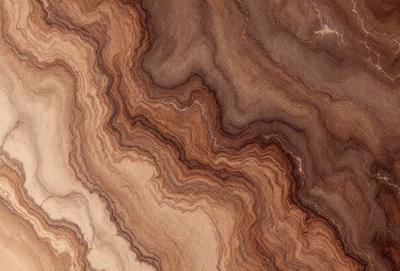 The primary subject of the image is a close-up of a wooden surface, possibly a piece of wood or a wooden table. The setting is a natural environment, with the wooden surface being the main focus of the image. The visual style appears to be a close-up of the wooden surface, possibly a photo or a digital art piece. The colors and mood of the image are predominantly brown, giving it a warm and natural atmosphere.