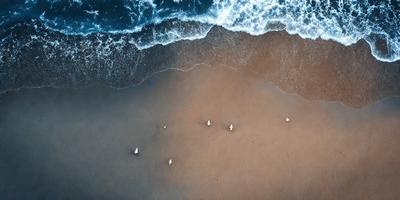 The primary subject of the image is a beach scene with a group of birds standing on the sand. The birds are scattered across the beach, with some closer to the water and others further inland. The setting is a beach with a body of water in the background. The visual style of the image is a photo, capturing the natural beauty of the beach and the birds. The colors and mood of the image are warm and serene, with the birds and the beach creating a peaceful and relaxing atmosphere.