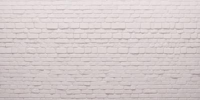 The primary subject of the image is a white brick wall. The setting is a brick wall, and the visual style is a photo. The dominant colors are white and gray, creating a clean and minimalist atmosphere.