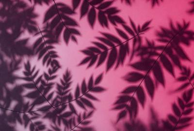The primary subject of the image is a close-up of a leafy plant with a pink background. The plant is surrounded by a variety of leaves, creating a dense and lush appearance. The visual style of the image is a combination of a photo and a digital art, as it captures the intricate details of the plant while also having a slightly surreal and artistic quality. The colors and mood of the image are predominantly pink, giving it a warm and inviting atmosphere.