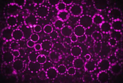The primary subject of the image is a purple background with a pattern of pink circles. The setting is a dark background, which contrasts with the bright pink circles. The visual style is a combination of a photo and digital art, creating a unique and eye-catching design. The colors and mood of the image are predominantly pink and purple, giving it a vibrant and lively atmosphere.