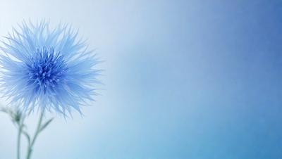 The primary subject of the image is a blue flower, which is the main focus of the scene. The setting is a blue sky, providing a contrasting backdrop for the flower. The visual style of the image is a photo, capturing the beauty of the flower in its natural environment. The dominant colors in the image are blue and white, creating a serene and calming atmosphere.
