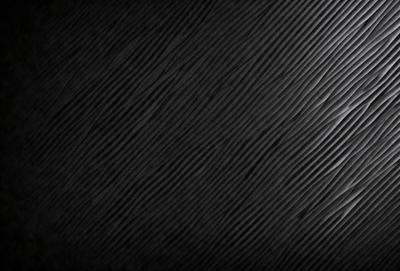 The primary subject of the image is a black background with a patterned texture. The setting is a dark room, and the visual style is a patterned texture. The colors and mood of the image are predominantly dark and moody, with the black background and patterned texture creating a dramatic and mysterious atmosphere.