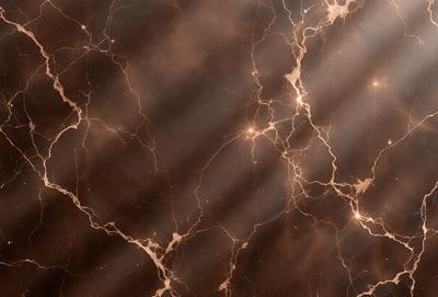 The primary subject of the image is a marble wall with a brown and white pattern. The setting is a room with a brown and white marble wall as the main focus. The visual style is a close-up of the marble wall, showcasing its intricate pattern. The colors and mood of the image are warm and earthy, with the brown and white marble creating a natural and elegant atmosphere.