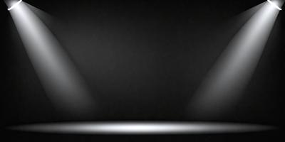 The primary subject of the image is a stage with a black background. The setting is a theater or a stage, and the visual style is a black and white photo. The colors and mood of the image are predominantly dark and dramatic, creating a sense of intensity and focus on the stage.