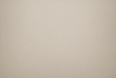 The image is a close-up of a tan wall, possibly a piece of cardboard. The wall appears to be a plain, unadorned surface, with no visible textures or patterns. The setting is a simple, uncluttered environment, with no other objects or elements in the frame. The visual style is a close-up, focusing on the wall's texture and color. The colors and mood of the image are neutral and calm, with the tan wall providing a sense of tranquility and simplicity.