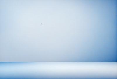 The primary subject of the image is a bird flying in the sky. The bird is positioned in the middle of the scene, with its wings spread out. The setting is a large, open space with a blue background. The visual style of the image is a photo, capturing the bird in its natural environment. The colors in the image are predominantly blue, creating a calm and serene atmosphere.