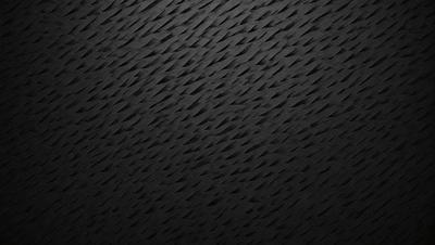 The primary subject of the image is a black and white patterned wallpaper. The setting is a black background, which emphasizes the patterned wallpaper. The visual style is a close-up of the wallpaper, showcasing its intricate design. The colors and mood of the image are predominantly black and white, giving it a classic and timeless appearance.