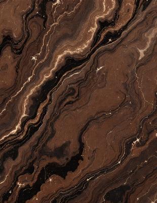 The primary subject of the image is a close-up of a marble surface with a brown and black color scheme. The setting is a natural environment, possibly a stone or rock formation. The visual style is a close-up of the marble, showcasing its texture and patterns. The colors and mood of the image are earthy and natural, with a sense of depth and intricacy in the marble's design.