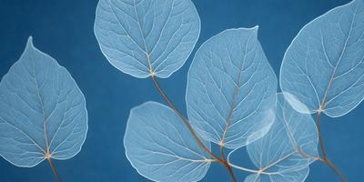 The primary subject of the image is a close-up of a leaf, possibly a maple leaf, with a blue background. The leaf is the focal point of the image, and it appears to be a natural, real-life object rather than a digital art or illustration. The visual style of the image is a close-up, which emphasizes the details of the leaf. The colors in the image are predominantly blue, which creates a calm and serene atmosphere.