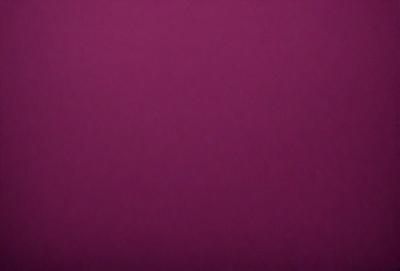 The primary subject of the image is a purple wall. The setting is a room with a purple wall, and the visual style is a close-up of the wall. The dominant colors are purple, and the overall atmosphere is calm and serene.
