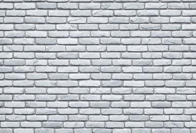 The primary subject of the image is a large, white brick wall. The setting is a plain, white brick wall, which serves as the background. The visual style is a photo, showcasing the brick wall in its natural environment. The colors and mood of the image are predominantly white, giving it a clean and minimalist appearance.