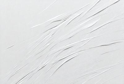 The primary subject of the image is a white wall with a pattern of long, thin, curved lines. The setting is a white wall, and the visual style appears to be a digital art or illustration. The dominant colors are white and gray, creating a clean and minimalist atmosphere.