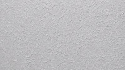 The image features a white wall with a pattern of white and gray textured wallpaper. The wallpaper has a unique design, giving the wall a distinctive appearance. The primary subject of the image is the wallpaper, which serves as the main focus of the scene. The setting is a room with a white wall, and the visual style is a close-up of the wallpaper, showcasing its intricate pattern. The colors and mood of the image are predominantly white and gray, creating a clean and minimalist atmosphere