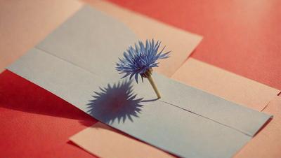 The primary subject of the image is a single blue flower, which is placed on a piece of paper. The setting is a table, and the visual style appears to be a photo. The dominant colors in the image are blue and red, creating a calm and serene atmosphere.