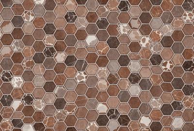 The primary subject of the image is a patterned tile floor with a honeycomb-like design. The setting is indoors, likely in a room with a tiled surface. The visual style is a close-up of the tile floor, showcasing the intricate pattern. The colors and mood of the image are warm and inviting, with the honeycomb pattern adding a sense of texture and depth to the surface.