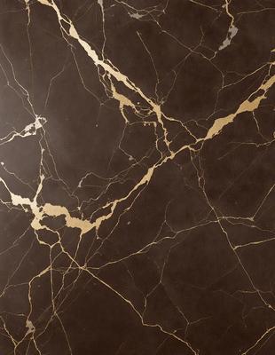 The primary subject of the image is a marble countertop with a gold-colored pattern. The setting is a kitchen, and the visual style is a close-up of the countertop. The colors and mood of the image are warm and elegant, with the gold pattern adding a touch of luxury to the marble surface.