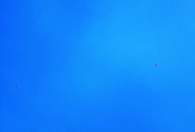 The primary subject of the image is a bird flying high in the blue sky. The setting is a clear, cloudless day with a bright blue sky. The visual style is a photo, capturing the bird in its natural environment. The colors and mood of the image are predominantly blue, creating a serene and peaceful atmosphere.