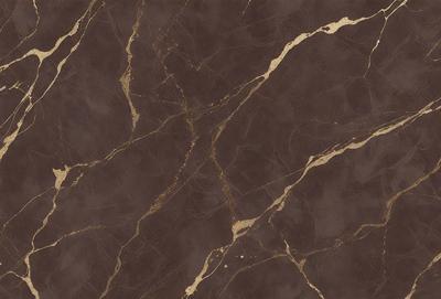 The primary subject of the image is a marble wall with a brown and gold color scheme. The setting is a room with a brown and gold marble wall, which serves as the background. The visual style is a close-up of the marble wall, showcasing its intricate patterns and textures. The colors and mood of the image are warm and luxurious, evoking a sense of sophistication and elegance.