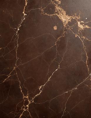 The primary subject of the image is a marble wall with a brown and tan color scheme. The setting is a room with a brown and tan marble floor. The visual style is a close-up of the marble wall, showcasing its texture and pattern. The colors and mood of the image are warm and earthy, creating a sense of luxury and sophistication.