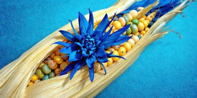 The primary subject of the image is a blue flower, which is the focal point of the scene. The setting is a wooden bowl filled with various fruits and vegetables, creating a vibrant and colorful display. The visual style of the image is a combination of photo and digital art, as it captures the vivid colors and intricate details of the flower and the bowl's contents. The overall atmosphere of the image is lively and cheerful, with the blue flower adding a touch of freshness and natural